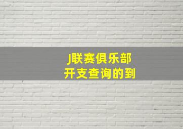 J联赛俱乐部 开支查询的到